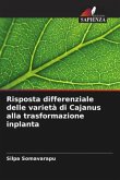 Risposta differenziale delle varietà di Cajanus alla trasformazione inplanta