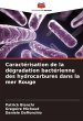 Caractérisation de la dégradation... - Bild 1