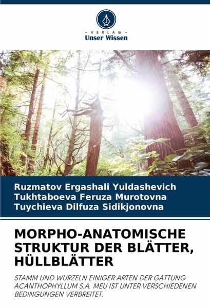 MORPHO-ANATOMISCHE STRUKTUR DER BLÄTTER, HÜLLBLÄTTER
