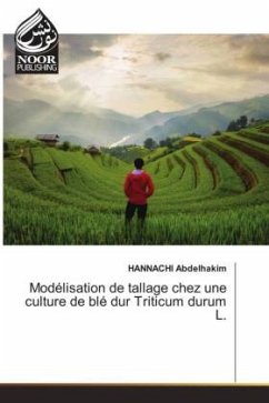 Modélisation de tallage chez une culture de blé dur Triticum durum L. - Abdelhakim, HANNACHI