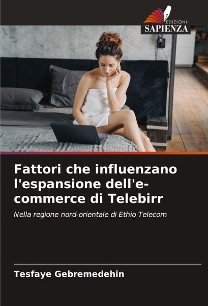 Fattori che influenzano l'espansione dell'e-commerce di Telebirr