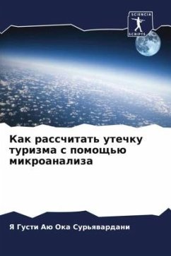 Kak rasschitat' utechku turizma s pomosch'ü mikroanaliza - Sur'qwardani, Ya Gusti Aü Oka