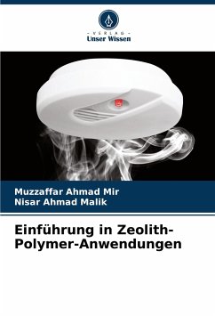 Einführung in Zeolith-Polymer-Anwendungen - Mir, Muzzaffar Ahmad;Malik, Nisar Ahmad