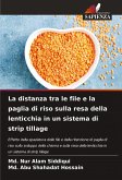 La distanza tra le file e la paglia di riso sulla resa della lenticchia in un sistema di strip tillage La distanza tra le file e la paglia di riso sulla resa della lenticchia in un sistema di strip tillage