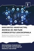 BIOSINTEZ NANOChASTIC ZhELEZA IZ LIST'EV HYDROCOTYLE LEUCOCEPHALA