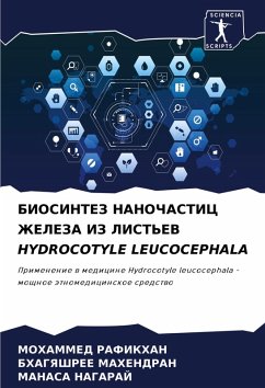 Cover BIOSINTEZ NANOChASTIC ZhELEZA IZ LIST'EV HYDROCOTYLE LEUCOCEPHALA