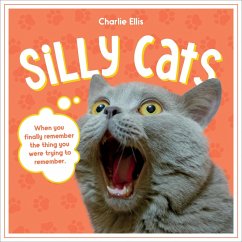 Silly Cats - Publishers, Summersdale