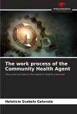 The work process of the Community Health Agent