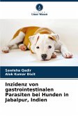 Inzidenz von gastrointestinalen Parasiten bei Hunden in Jabalpur, Indien