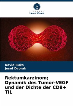 Cover Rektumkarzinom; Dynamik des Tumor-VEGF und der Dichte der CD8+ TIL