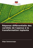 Réponse différentielle des variétés de Cajanus à la transformation Inplanta