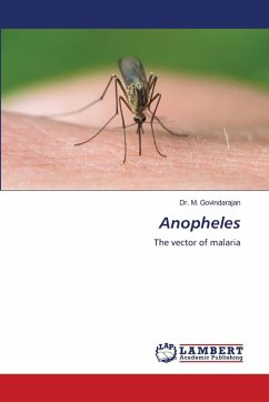Anopheles Anopheles