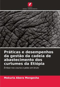 Cover Práticas e desempenhos da gestão da cadeia de abastecimento dos curtumes da Etiópia