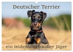 Deutscher Terrier - ein leidenschaftlicher Jäger (Wandkalender 2025 DIN A3 quer), CALVENDO Monatskalender - Calvendo;Scheurer, Monika