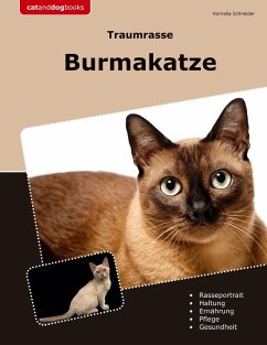 Traumrasse Burmakatze Cover Traumrasse Burmakatze