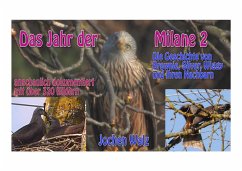 Das Jahr der Milane 2 (eBook, ePUB) - Walz, Jochen