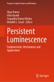 Persistent Luminescence (eBook, PDF)