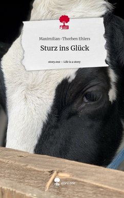 Cover Sturz ins Glück. Life is a Story - story.one