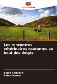 Les rencontres vétérinaires courantes au bout des doigts Les rencontres vétérinaires courantes au bout des doigts
