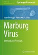 Marburg Virus - Bild 1