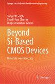 Beyond Si-Based CMOS Devices (eBook, PDF)