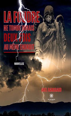 La foudre ne tombe jamais deux fois au même endroit (eBook, ePUB) - Darggaud, Abel