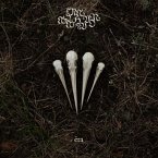 There Will Be No Peace In My Valley