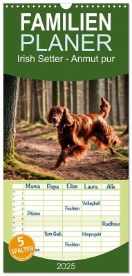 Familienplaner 2025 - Irish Setter - Anmut pur mit 5 Spalten (Wandkalender, 21 x 45 cm) CALVENDO