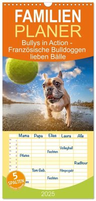 Familienplaner 2025 - Bullys in Action - Französische Bulldoggen lieben Bälle mit 5 Spalten (Wandkalender, 21 x 45 cm) CALVENDO