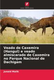 Veado de Caxemira (Hangul) e veado almiscarado de Caxemira no Parque Nacional de Dachigam