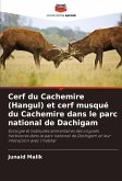 Cerf du Cachemire (Hangul) et cerf musqué du Cachemire dans le parc national de Dachigam