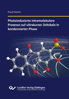 Photoinduzierte intramolekulare Prozesse auf ultrakurzer Zeitskala in kondensierter Phase - Rauthe, Pascal