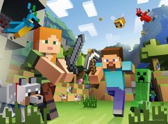 Cover Steve und Alex