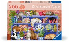 Cover Katzen im Regal