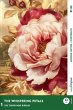 The Whispering Petals - Englische... - Bild 1