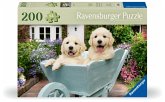 Golden Retriever Golden Retriever