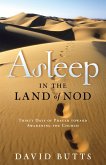 Asleep in the Land of Nod (eBook, ePUB)