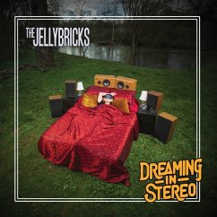 Cover Dreaming In Stereo