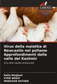 Virus della malattia di Newcastle nel pollame Approfondimenti dalla valle del Kashmir