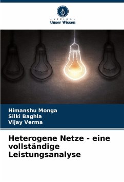 Cover Heterogene Netze - eine vollständige Leistungsanalyse