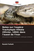 Notes sur l'espèce Trachylepis Vittata (Olivier, 1804) dans l'ouest de l'Iran