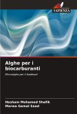 Alghe per i biocarburanti