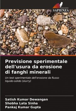 Cover Previsione sperimentale dell'usura da erosione di fanghi minerali