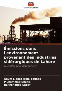 Cover Émissions dans l'environnement provenant des industries sidérurgiques de Lahore