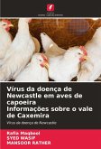 Vírus da doença de Newcastle em aves de capoeira Informações sobre o vale de Caxemira