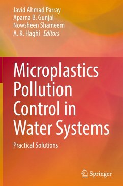 Cover Microplastics Pollution Control in Water Systems