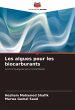 Les algues pour les biocarburants - Bild 1