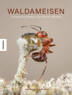 Cover Waldameisen