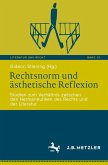 Rechtsnorm und ästhetische Reflexion (eBook, PDF)