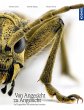 Von Angesicht zu Angesicht (eBook, PDF) - Bild 1